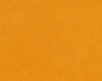 [200111120_23] Taralay Initial Compact - 0952 Miami Soleil
